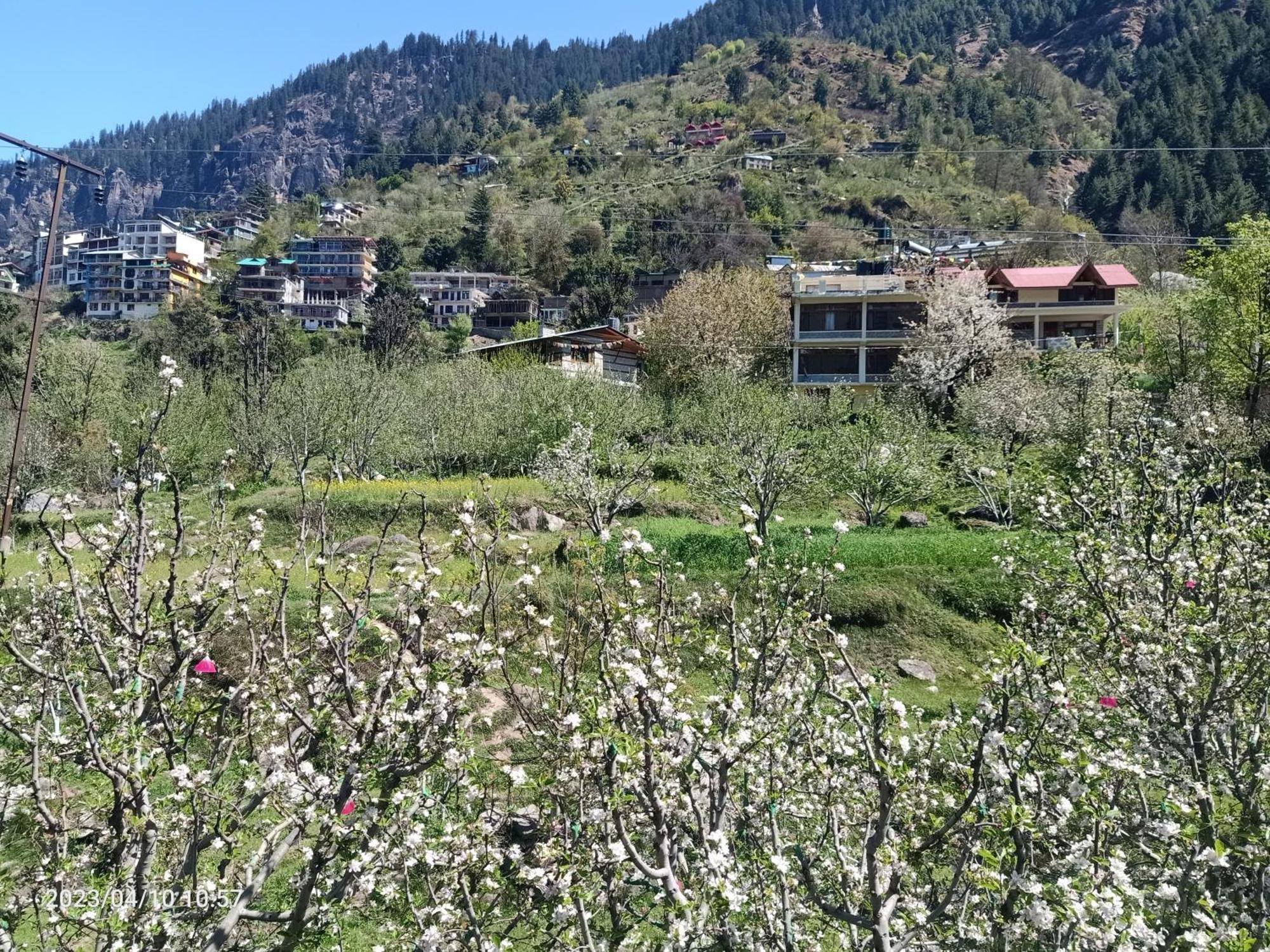 Lotus Retreat Villa Manali  Exterior photo