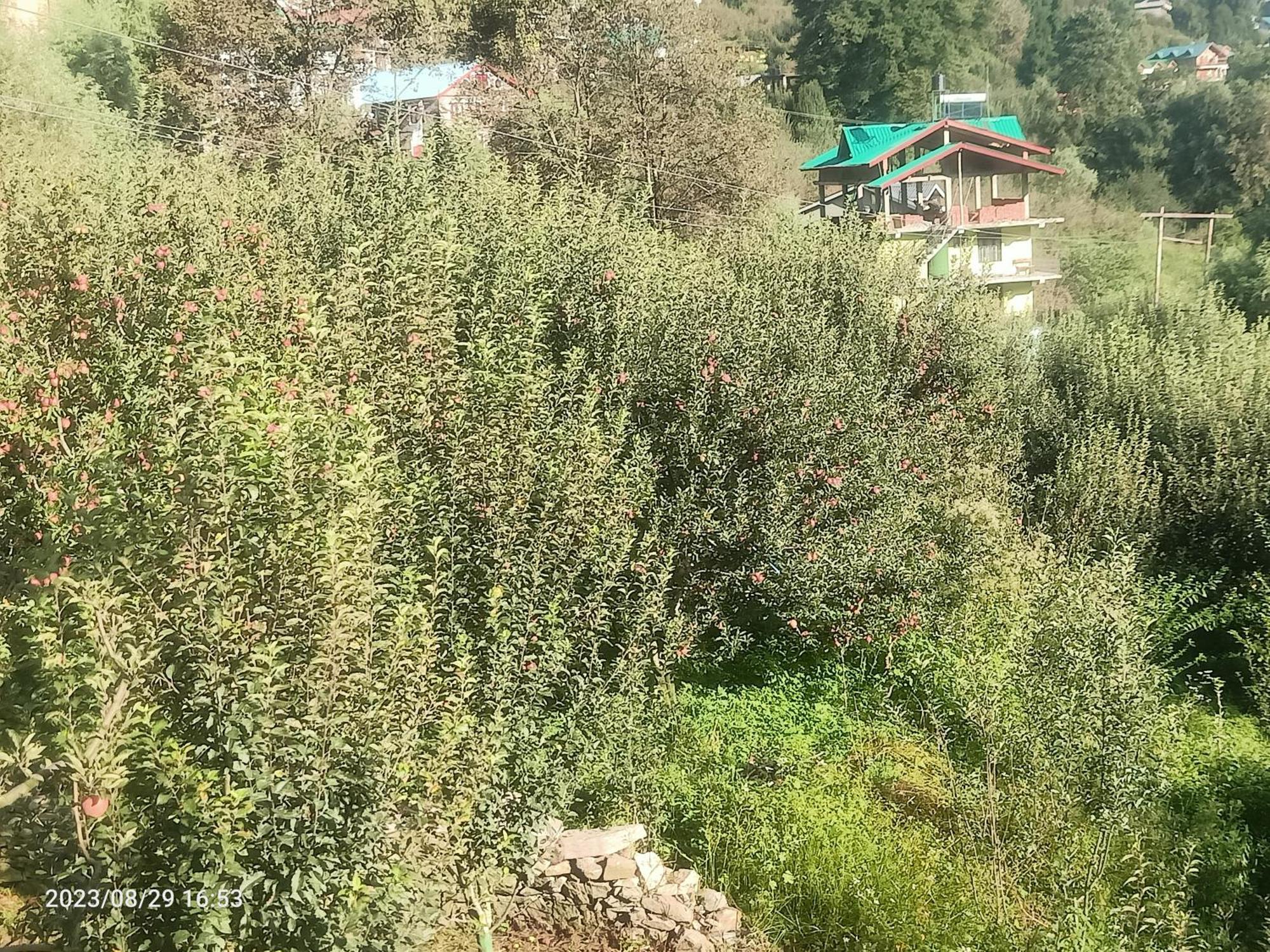 Lotus Retreat Villa Manali  Exterior photo